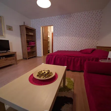 Dristor Cozy Studio Appartement Boekarest