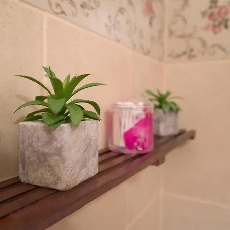 Dristor Cozy Studio Appartement *