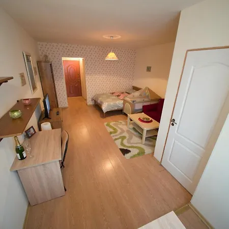 Dristor Cozy Studio Boekarest