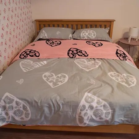 Dristor Cozy Studio Boekarest