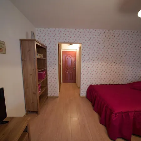 Dristor Cozy Studio Bukarest